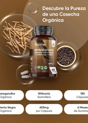 BIO Ashwagandha con Pimienta Negra Orgánica | 605 mg | 180 Cápsulas Veganas