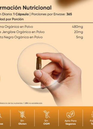 Cúrcuma Orgánica con Jengibre y Pimienta Negra | 505 mg | 365 Cápsulas Veganas