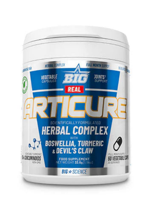 REAL ARTICURE