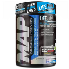 Life Pro Map 300 G