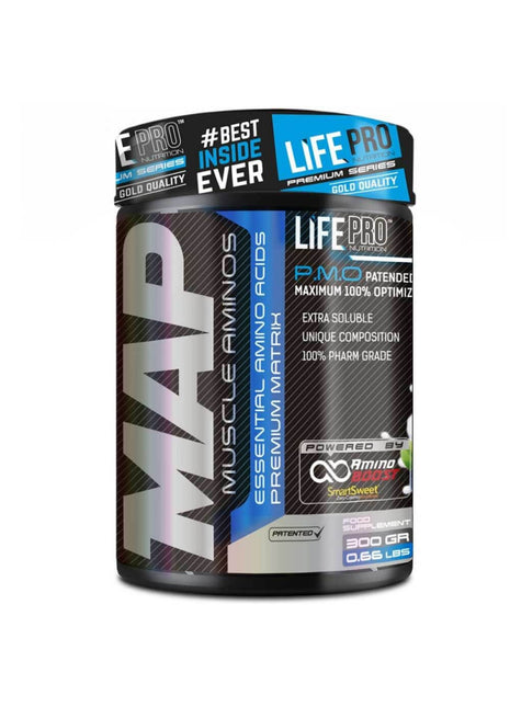 Life Pro Map 300 G